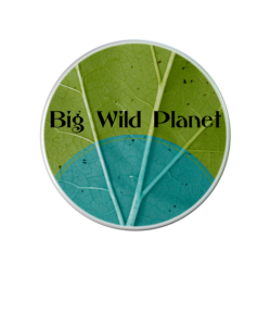 BIG WILD PLANET