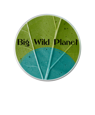BIG WILD PLANET